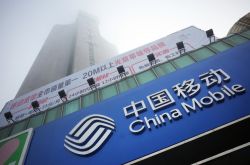 【8分钟科普下】西双版纳政府热线12345_哔哩哔哩-2
